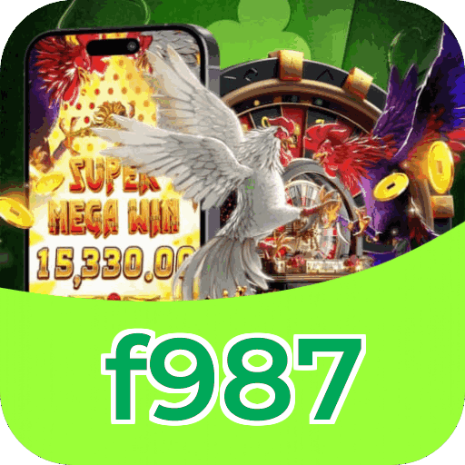 Interface f987